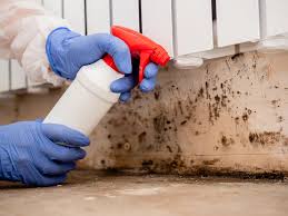 Palestine, IL Mold Prevention & Removal  Company